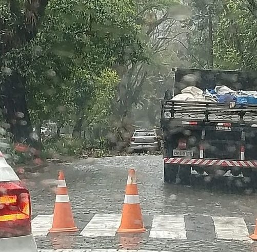 Defesa Civil muda estágio operacional da cidade para Atenção. Ventos já causaram queda de árvores em Petrópolis