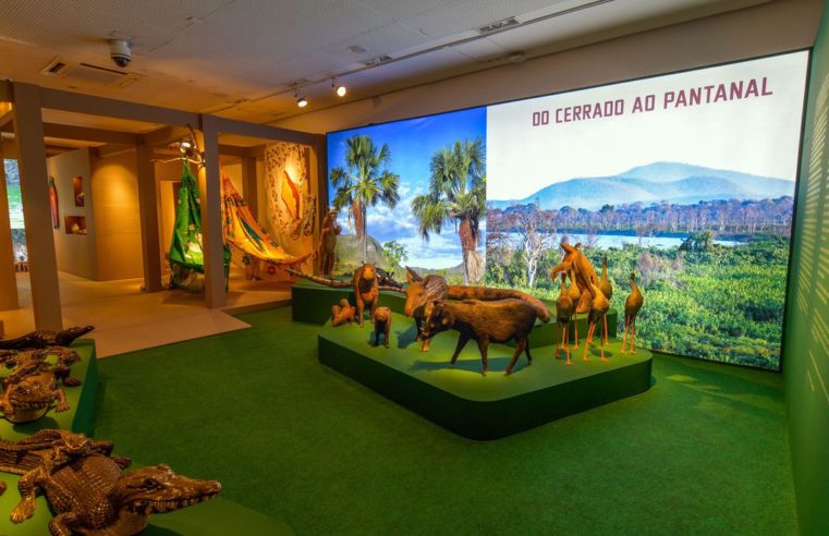Artesanato do Centro-Oeste compõe exposição no Rio
