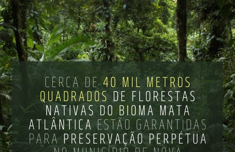 Semmadus promove preservação perpétua de áreas de floresta nativa da Mata Atlântica pelo licenciamento ambiental em Nova Friburgo