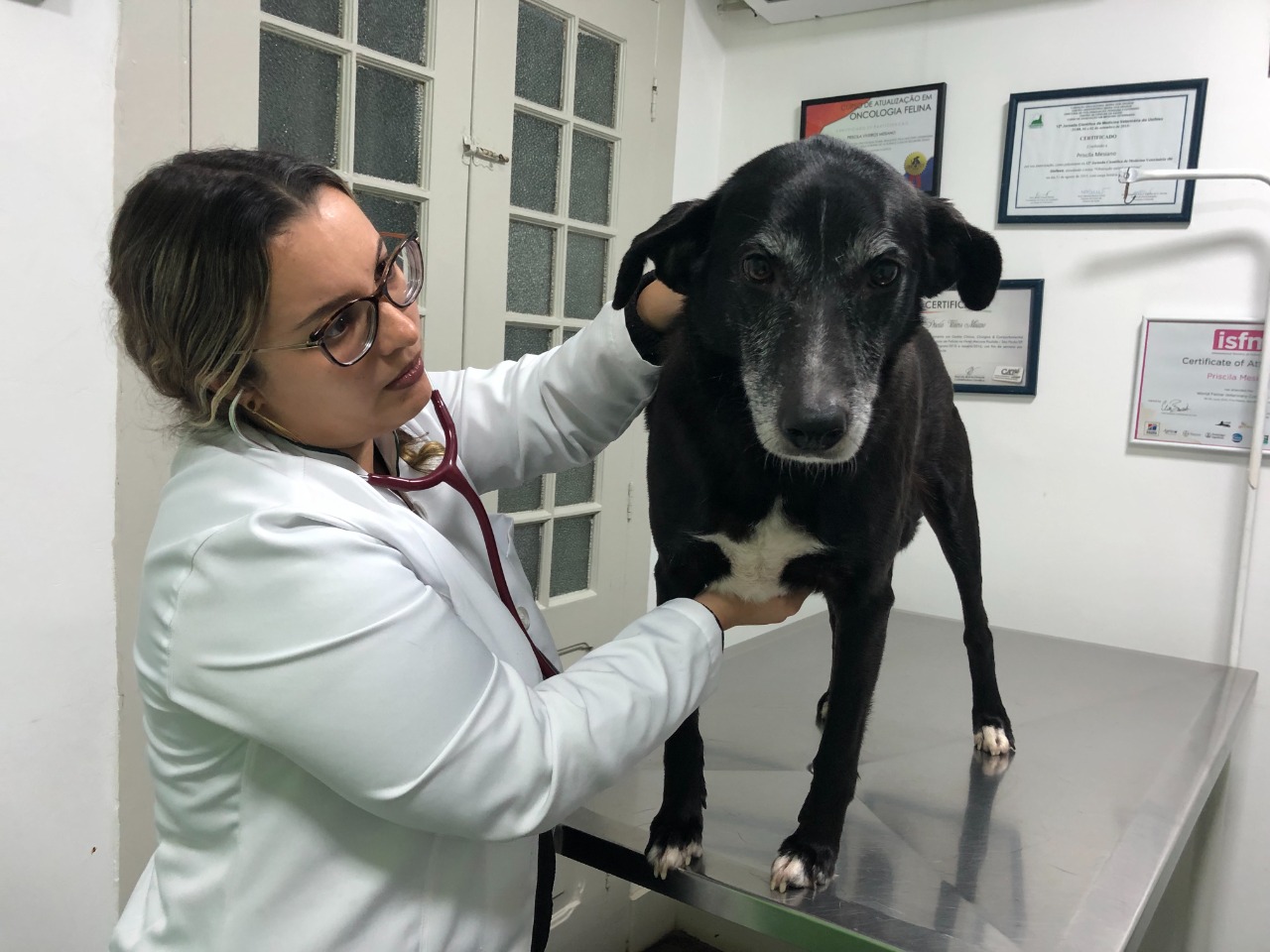Dia do Veterinário é celebrado nesta sexta-feira (09)