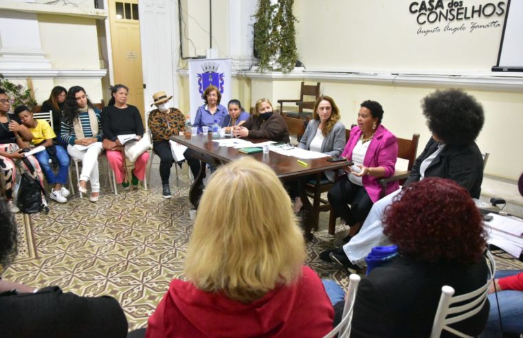 Conselho Municipal dos Direitos da Mulher elege nova vice-presidente