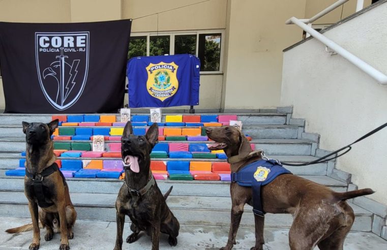 PRF faz apreensão de pasta de cocaína no estado do Rio