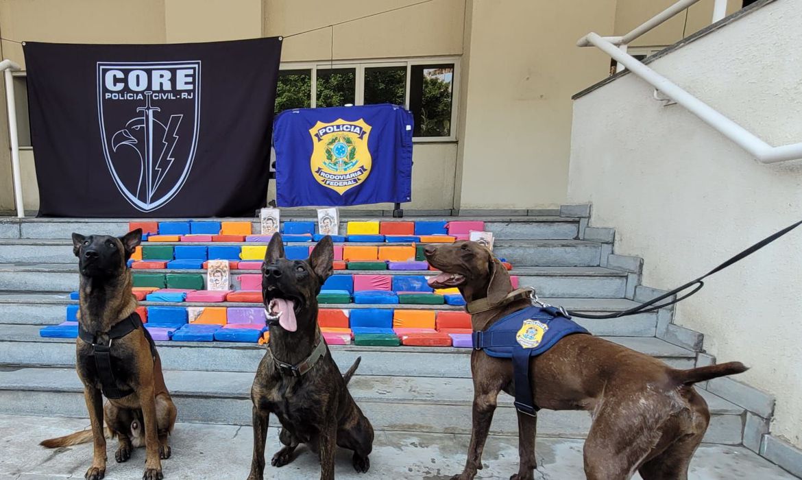 PRF faz apreensão de pasta de cocaína no estado do Rio
