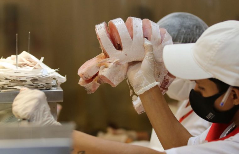 Semana do Pescado incentiva temporada de consumo no segundo semestre