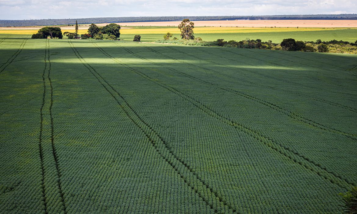 Produção de grãos deve chegar a 312,4 milhões de toneladas em 2023