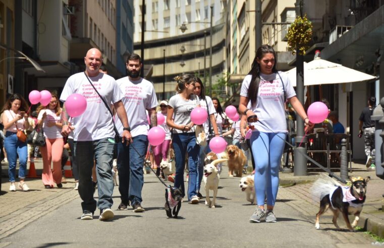Cãominhada do Outubro Rosa Pet chama atenção para a importância do cuidado e prevenção do câncer de mama em pets 