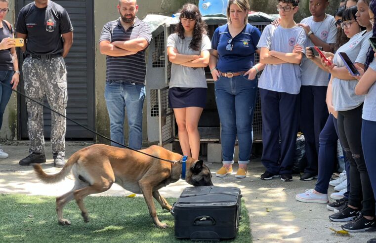 26° BPM leva estudantes da Escola Paroquial Bom Jesus para conhecerem o Batalhão de Ação com Cães