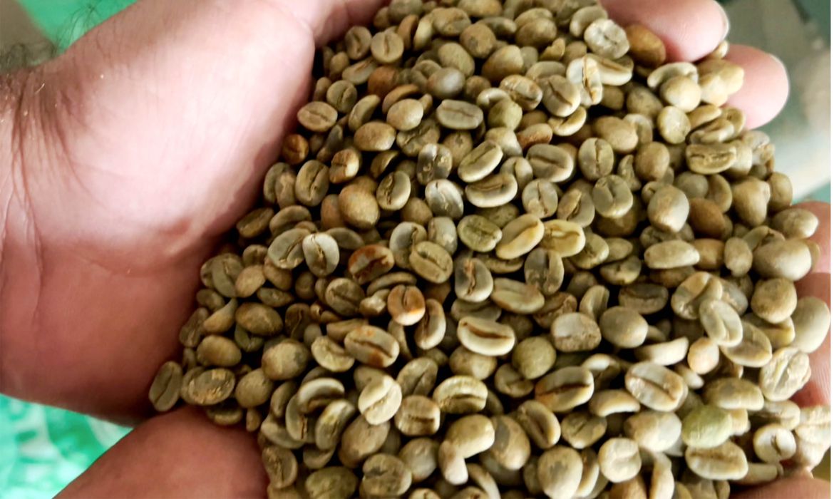 Mantiqueira de Minas conquista o mercado de cafés especiais