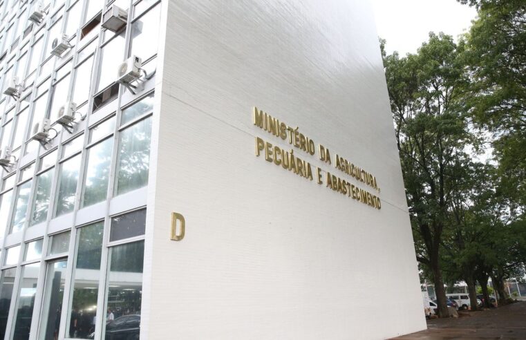 Agricultura familiar terá novo cadastro a partir desta terça-feira