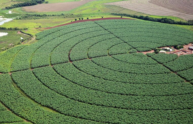 Índice de Confiança do Agronegócio tem melhor resultado trimestral