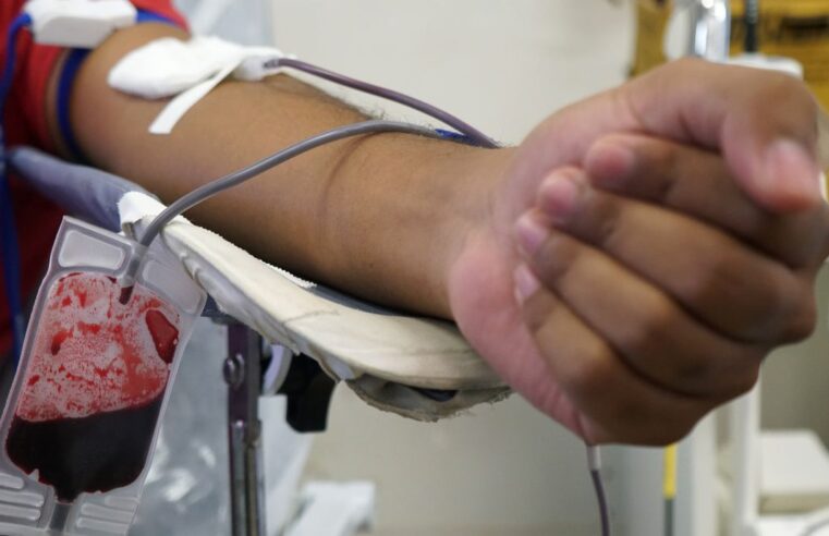 Triagem de sangue em hemocentros terá teste de malária