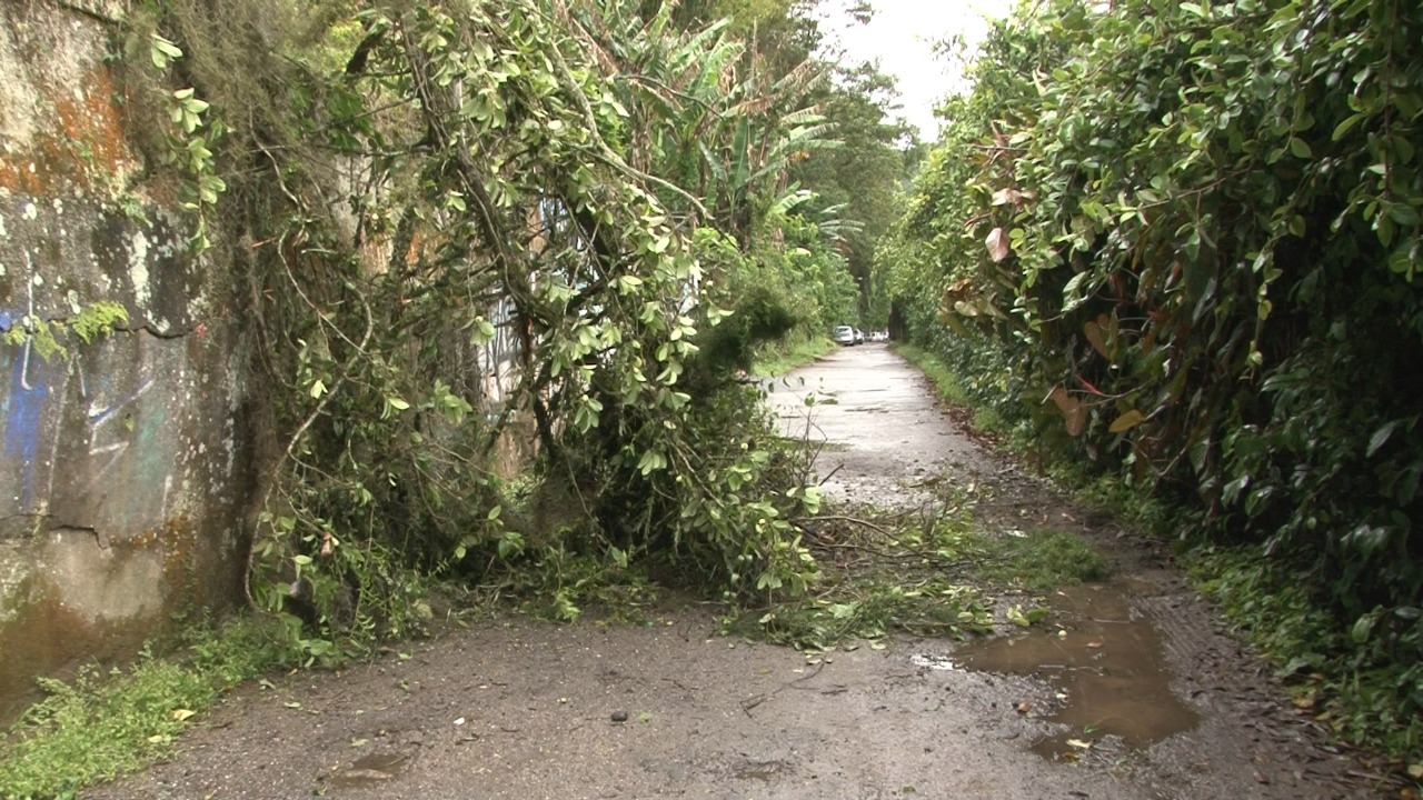 Casa é atingida parcialmente por deslizamento de terra no Independência