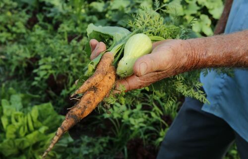 Pesquisa mostra que 74% dos brasileiros se dizem consumidores ambientalmente conscientes
