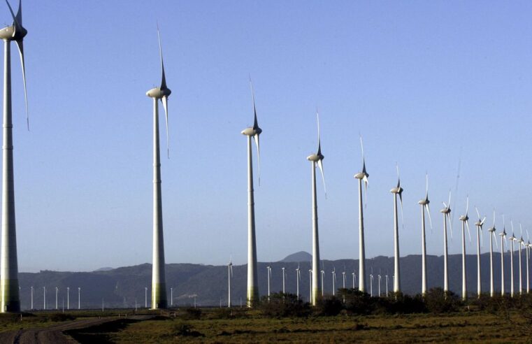 Brasil usará COP27 para atrair investimentos em energia verde