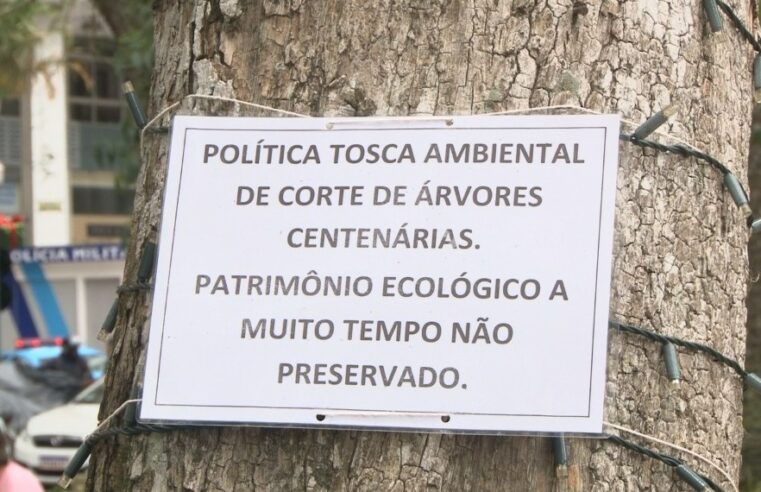 Falta de manutenção em árvores de Petrópolis resulta em podas agressivas devido a contaminação