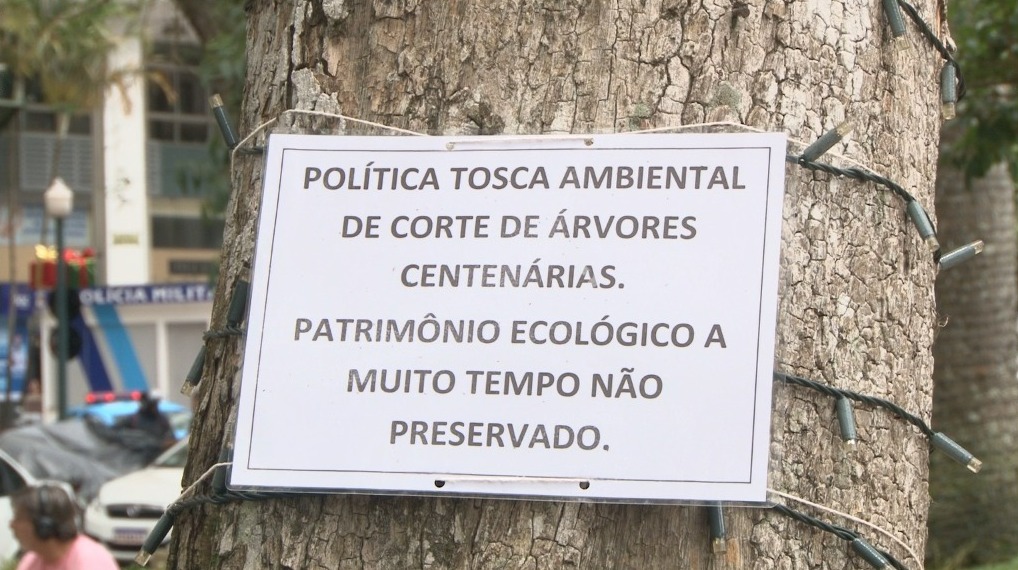 Falta de manutenção em árvores de Petrópolis resulta em podas agressivas devido a contaminação