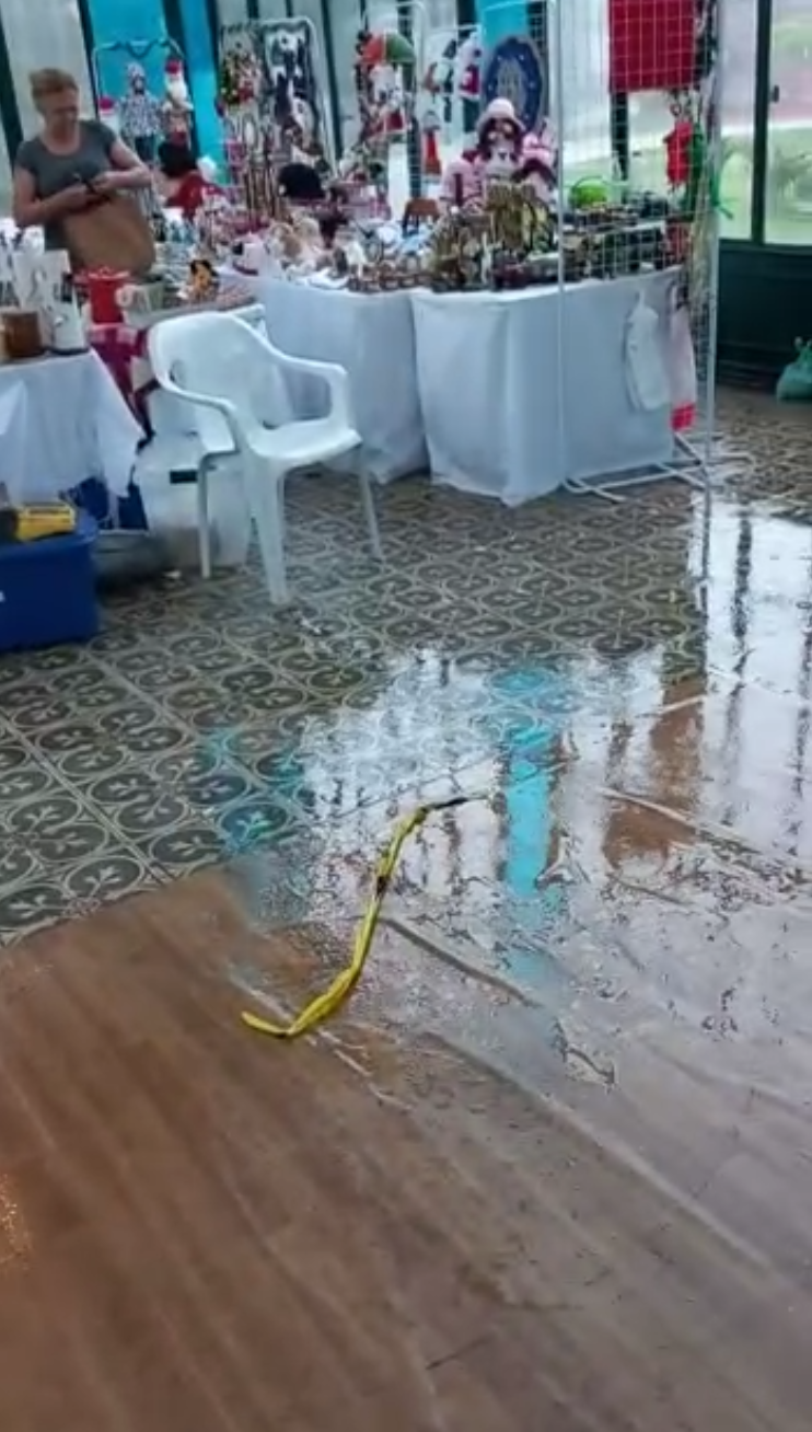 Chuva expõe problemas estruturais no Palácio de Cristal