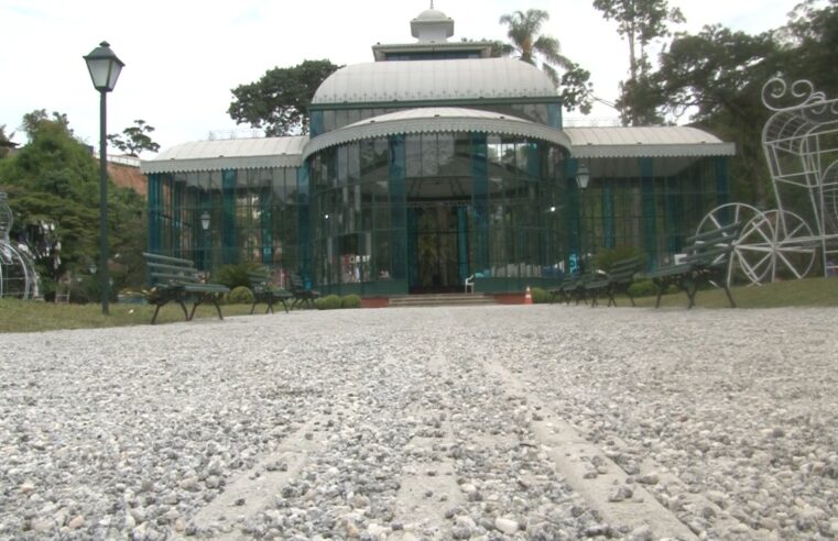 Pedriscos voltam a ocupar o jardim dos Palácio de Cristal