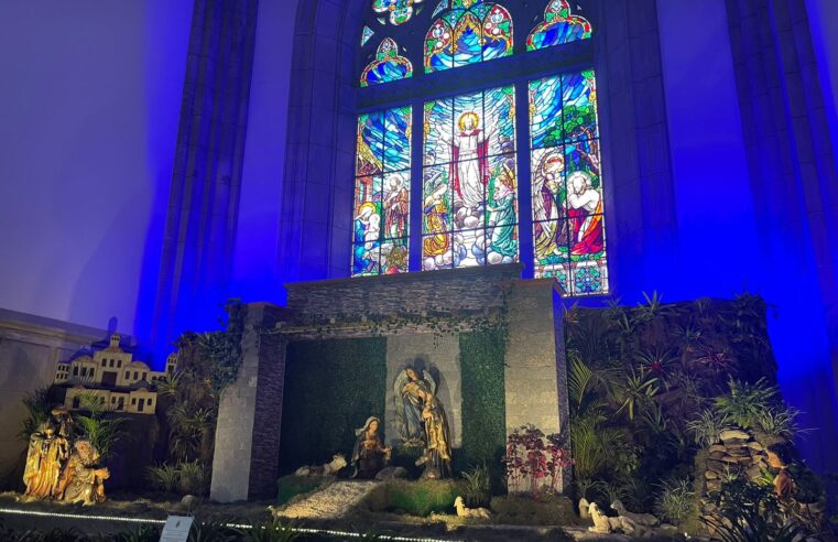 Presépio de Natal da Catedral já está disponível para visitação