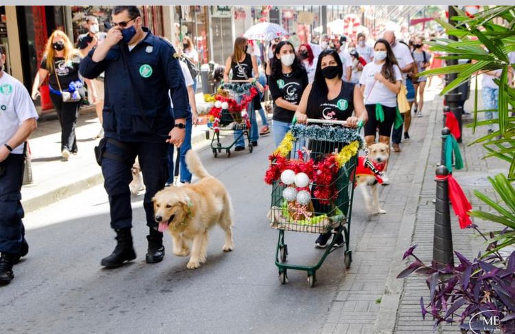 Quarta edição da “Cãominhada” de Natal Da Dog’s Heaven é realizada em Petrópolis no próximo domingo (11)