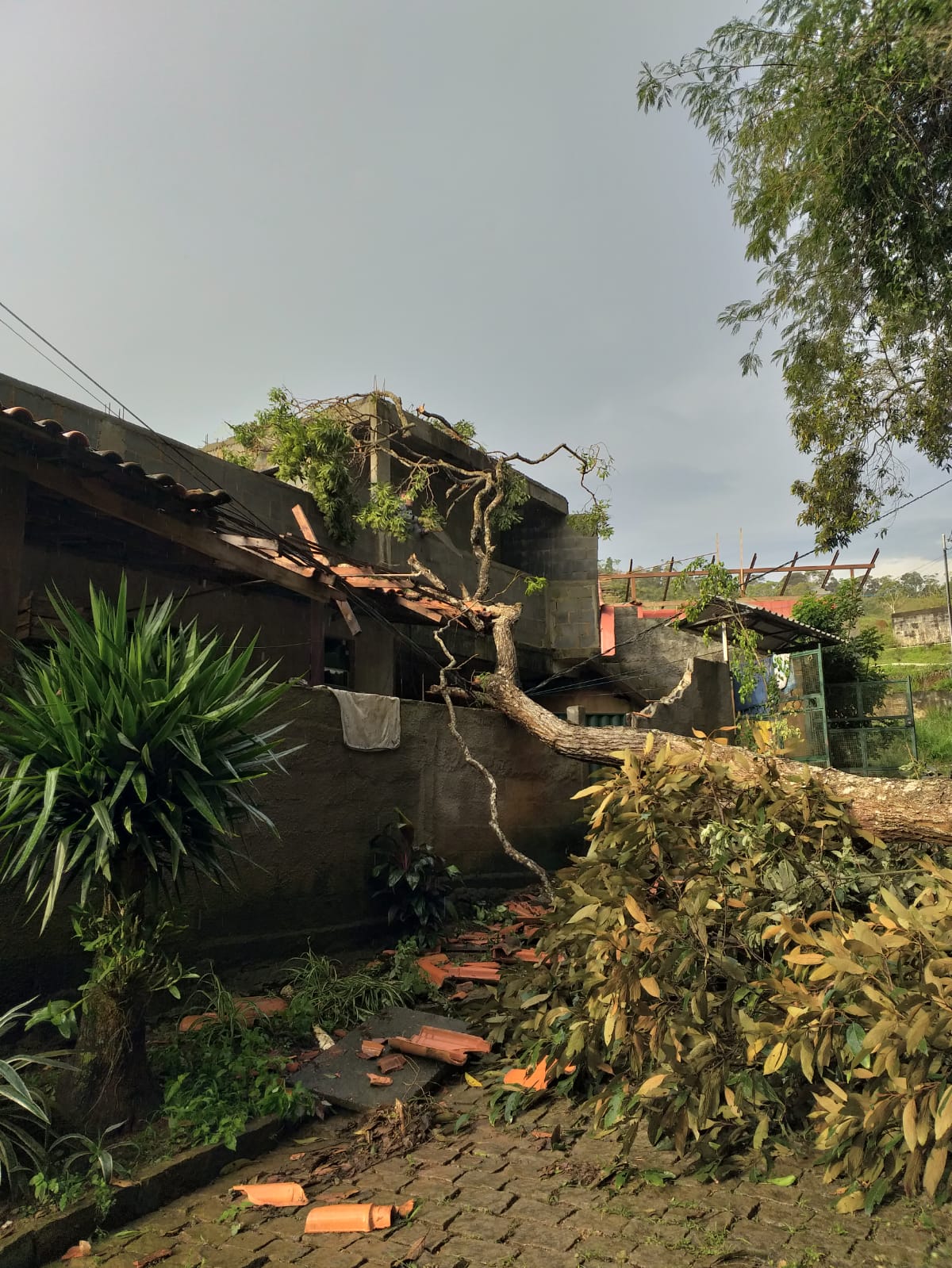 Nova Friburgo: mais de 20 ocorrências são registradas em decorrência da chuva