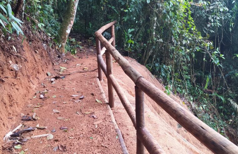 Trilha da Casa da Mata no Parque Natural é reaberta ao público após revitalização