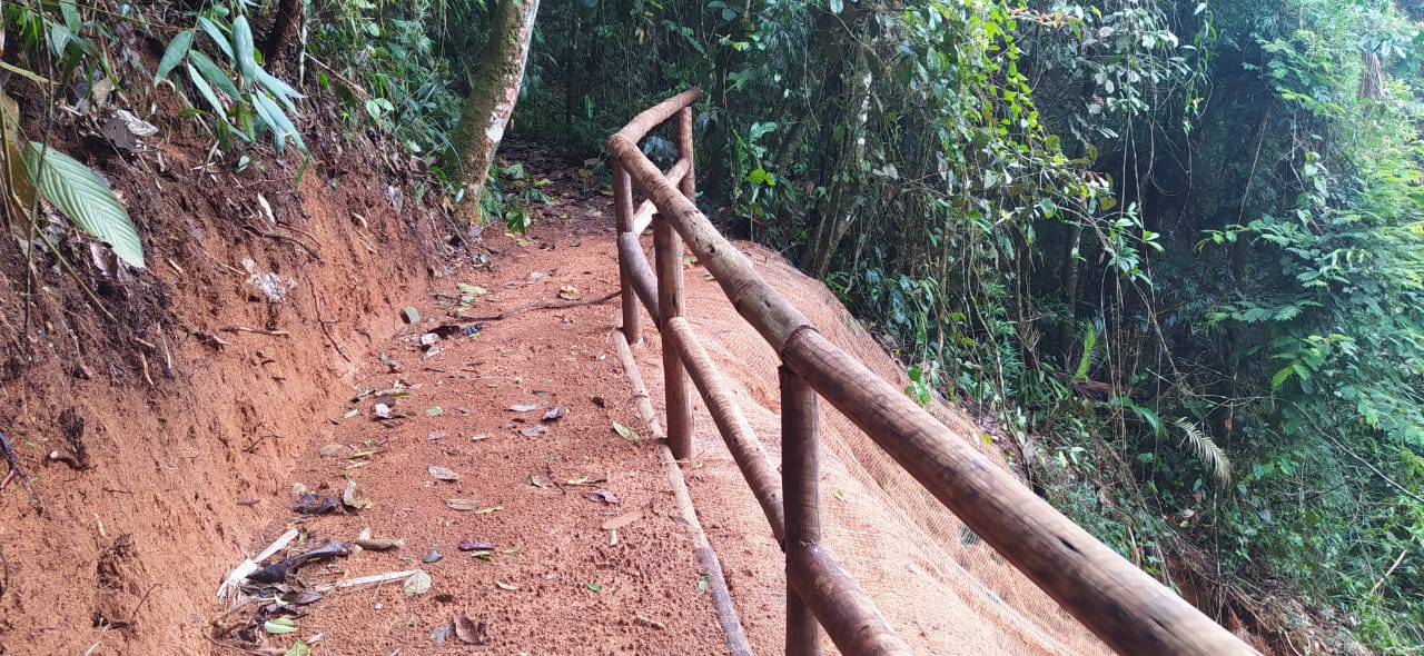 Trilha da Casa da Mata no Parque Natural é reaberta ao público após revitalização