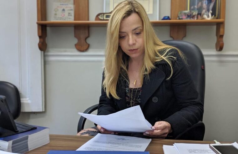 Presidente da Comissão de Direitos da Mulher da Câmara quer que município garanta recursos para criação de abrigo para acolhimento de mulheres vítimas de violência doméstica
