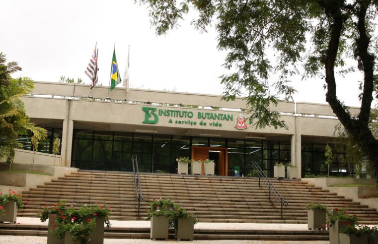 Vacina contra a dengue do Butantan atinge eficácia de 79,6%