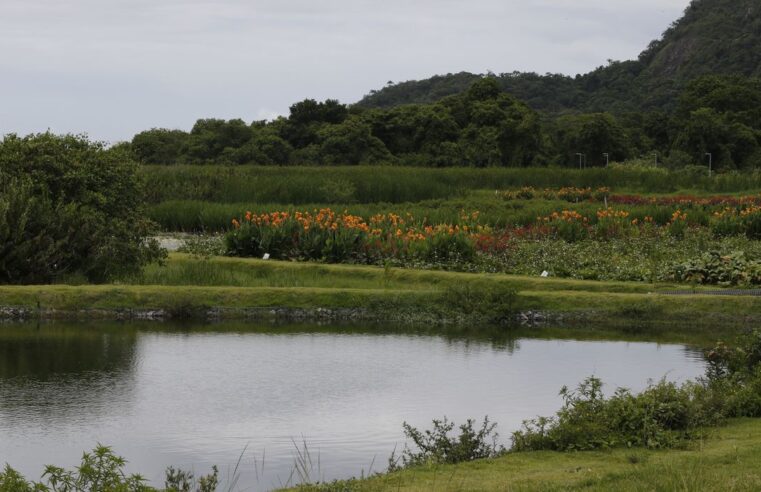 Novo parque em Niterói busca melhorar água e vegetação de lagoa