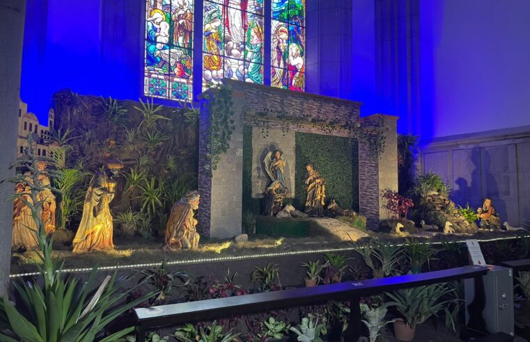 Presépio de natal da Catedral já está disponível para visitação