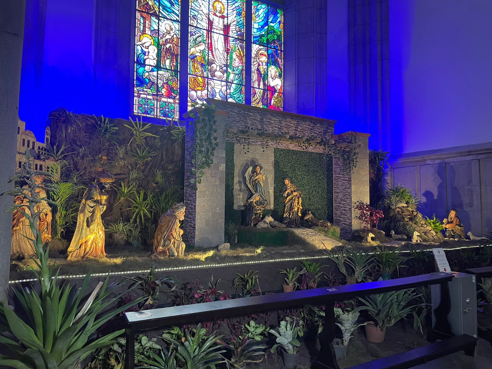 Presépio de natal da Catedral já está disponível para visitação