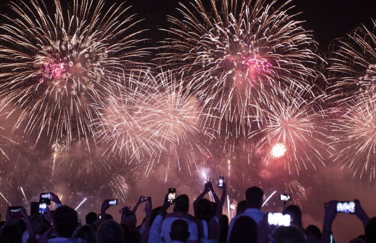 Fogos de artifício, tradicionais nas festas de fim de ano, prejudicam animais