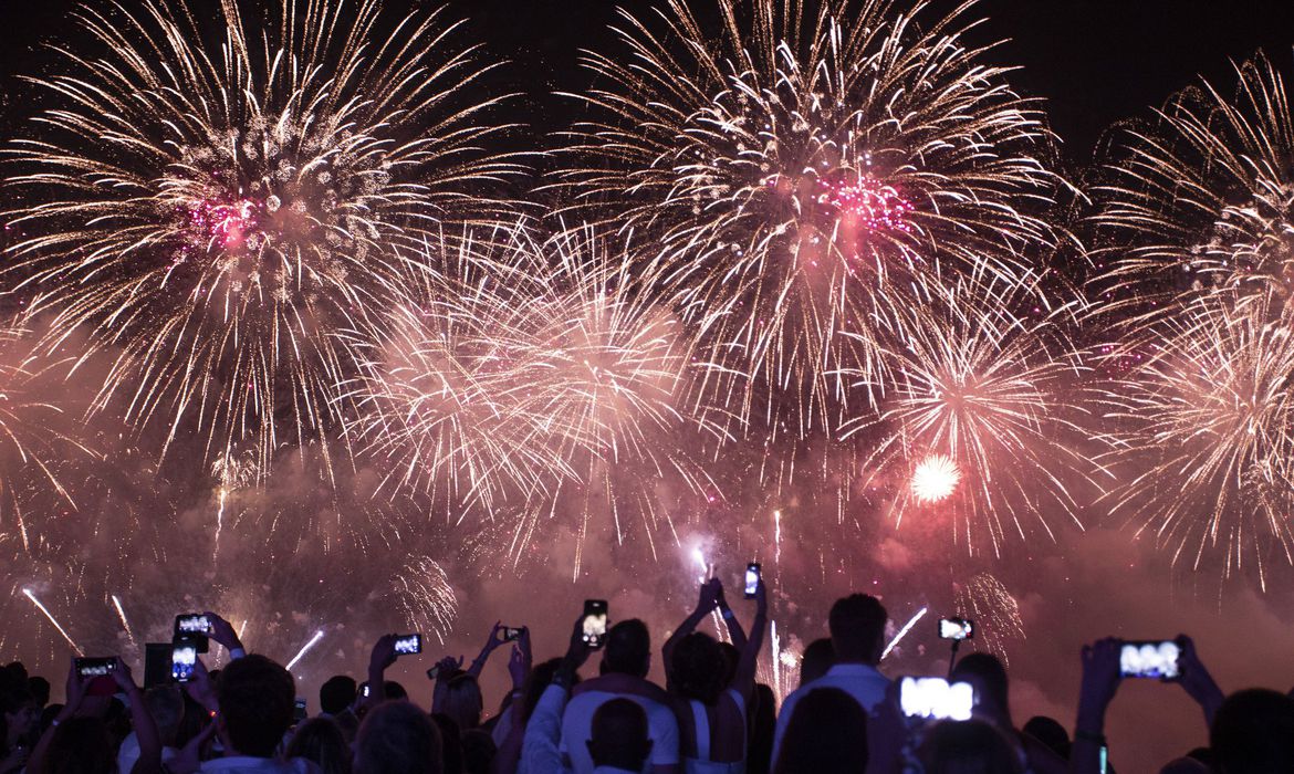 Fogos de artifício, tradicionais nas festas de fim de ano, prejudicam animais