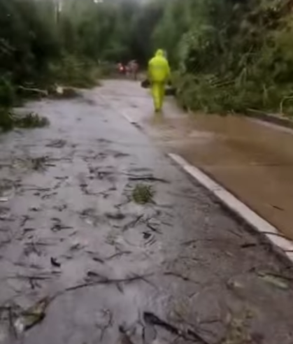 Após chuva forte árvores bloqueiam subida da serra