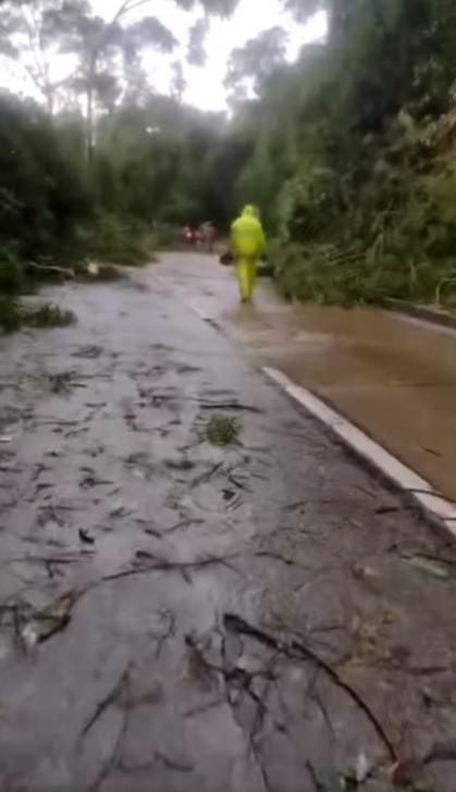 Após chuva forte árvores bloqueiam subida da serra
