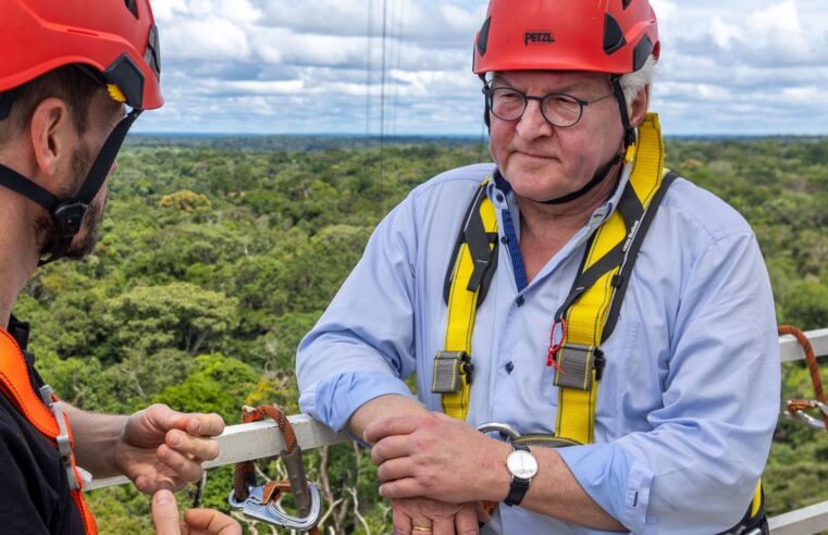 Alemanha retomará investimentos no Fundo Amazônia