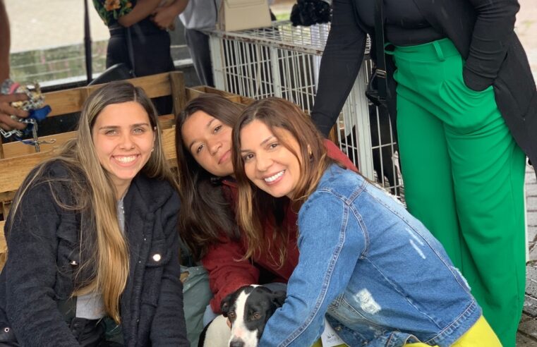 ‘Adote um Amor’: Feira realizada pela COPBEA registra 13 adoções