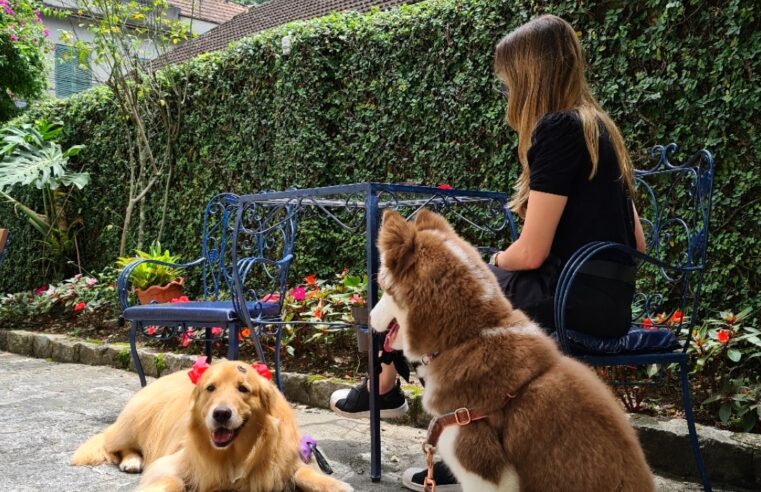 Petrópolis ‘Pet Friendly’: rede hoteleira e de gastronomia adaptadas ao novo comportamento entre tutores e animais