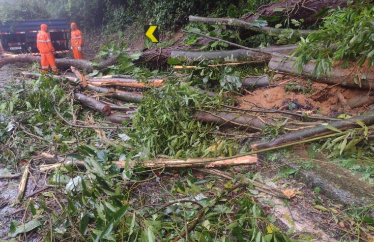 Quatro ocorrências são registradas na subida da serra de Petrópolis