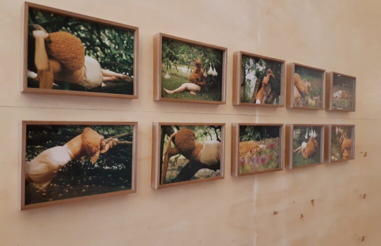 Exposição Afago, no Sesc Quitandinha, é prorrogada; artistas conversam com o público neste domingo