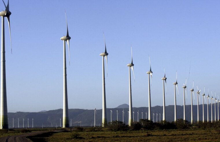 BNDES financia R$ 3,5 bilhões em energia renovável
