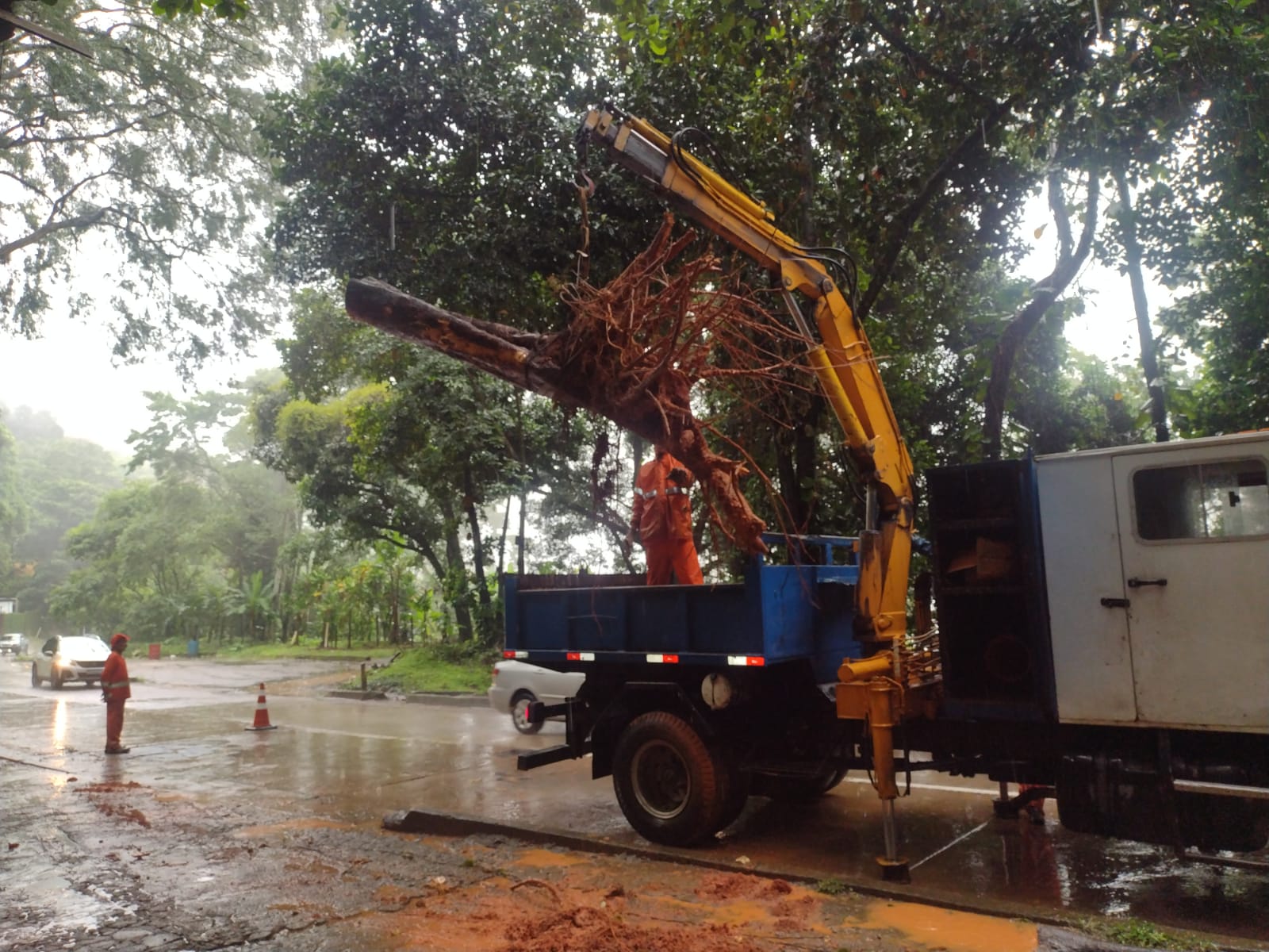 Pista de subida da serra de Petrópolis segue com interdições periódicas para cortes preventivos de árvores e retirada de resíduos.