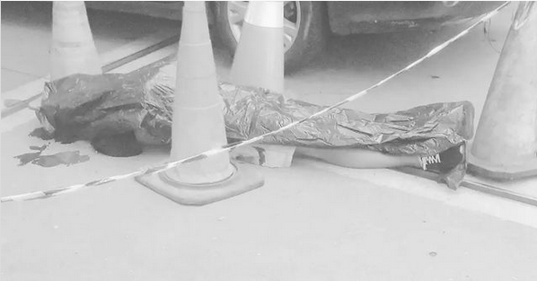 Corpo é encontrado na região do Gulf em Petrópolis