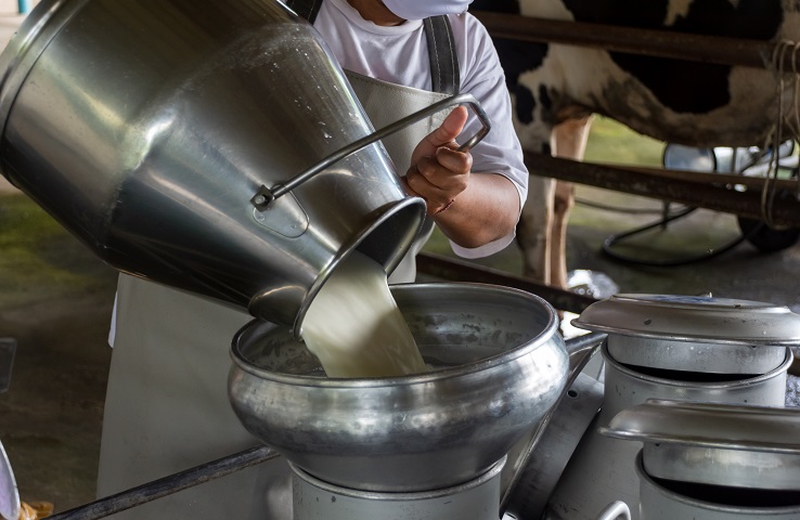 Governo do Estado disponibiliza R$ 2 milhões para produtores de leite do Rio e eleva o teto para empréstimos a juros baixos
