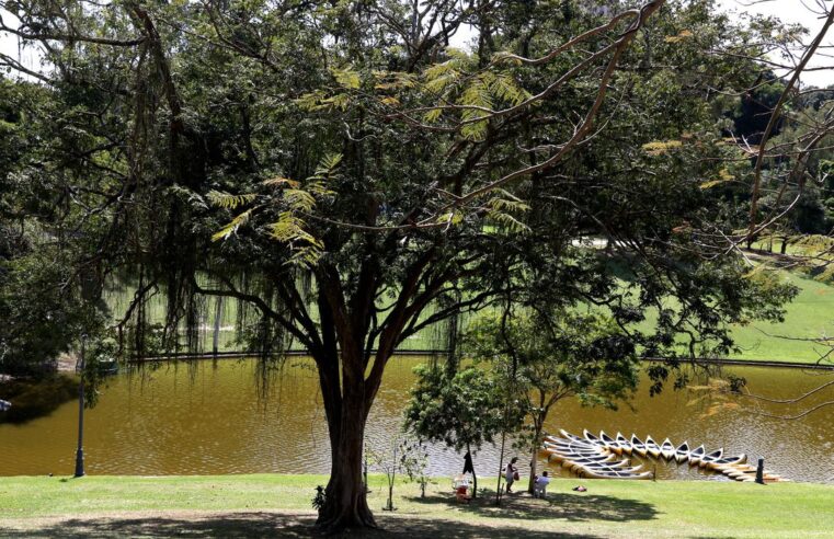 Prefeitura do Rio concede sete parques públicos à iniciativa privada