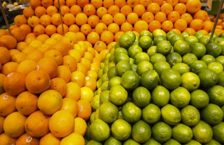 Conab diz que frutas registram queda de preços