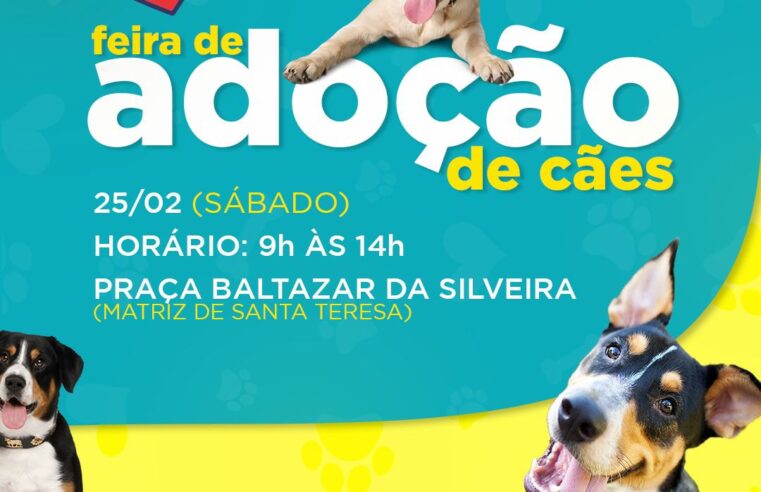 Adote um amor: COPBEA realiza mais uma edição da feira de cães neste sábado