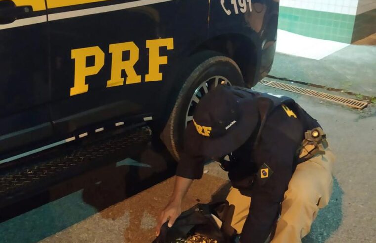 PRF apreende 600 munições de fuzil em Petrópolis