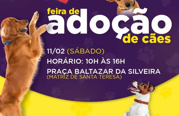 Adote um AUmigo: COPBEA realiza mais uma edição da feira de cães neste sábado, na Praça Santa Teresa em Teresópolis